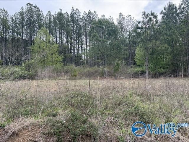 Land for sale in Flat Rock, Alabama