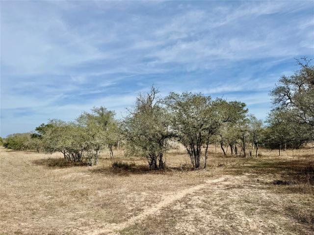 Land for sale in Dewitt, Texas