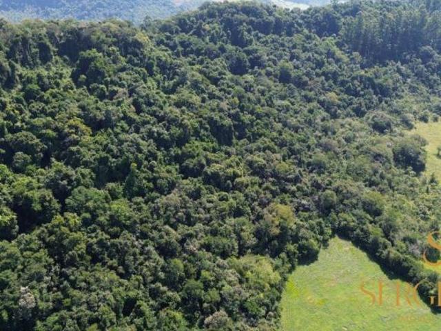Sítio e chácara venda em Região Geográfica Imediata de Charqueadas - Triunfo - São Jerônimo, Região Metropolitana de Porto Alegre