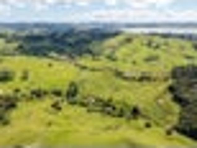 Land for sale in Kawau Island