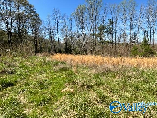 Land for sale in Stevenson, Alabama