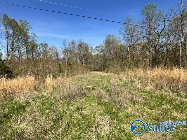 Land for sale in Stevenson, Alabama