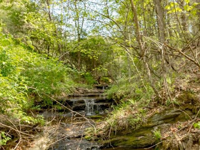 Land for sale in Virginia