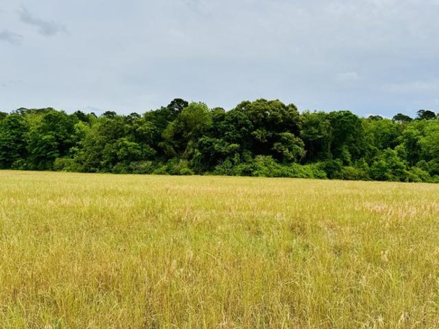 Land for sale in Andalusia, Alabama