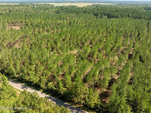 Land for sale in Hattiesburg, Forrest County