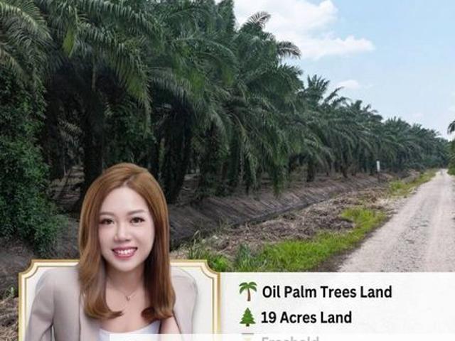 Warehouse for sale in Kukup, Johor