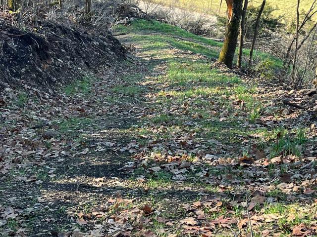 Land for sale in Wisconsin