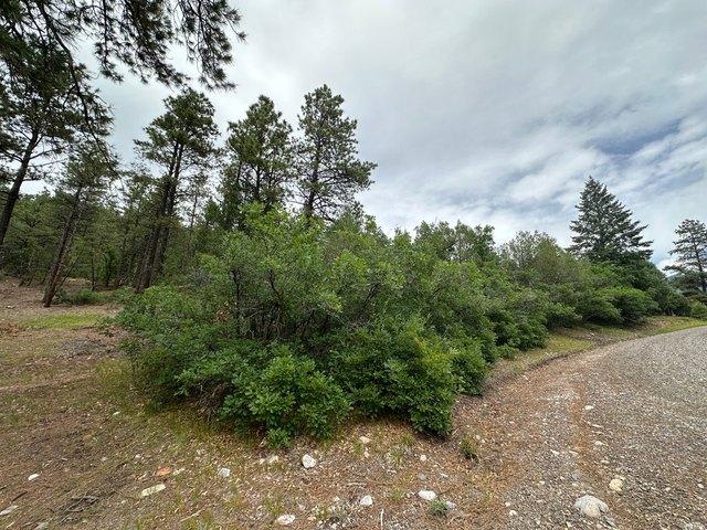 Land for sale in Chama, New Mexico
