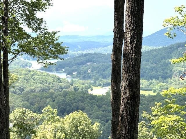 Land for sale in Hiawassee, Georgia