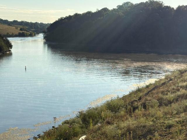 Land for sale in Williamstown, Kentucky