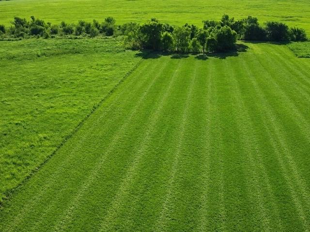 Land for sale in Delta, Texas