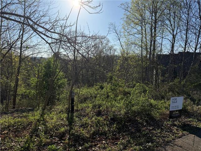 Land for sale in Bartow, Georgia