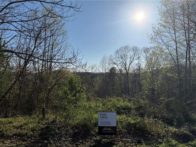 Land for sale in Bartow, Georgia