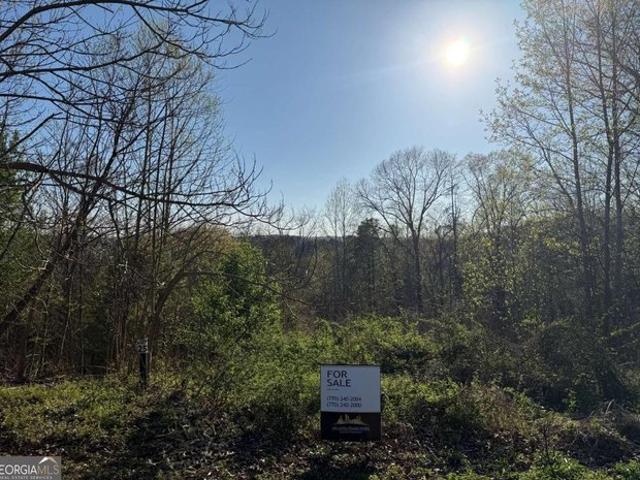 Land for sale in Bartow, Georgia