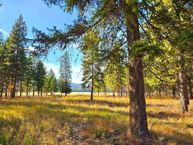 Land for sale in Sanders, Montana