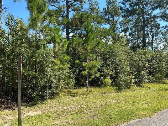Land for sale in Pierce, Georgia