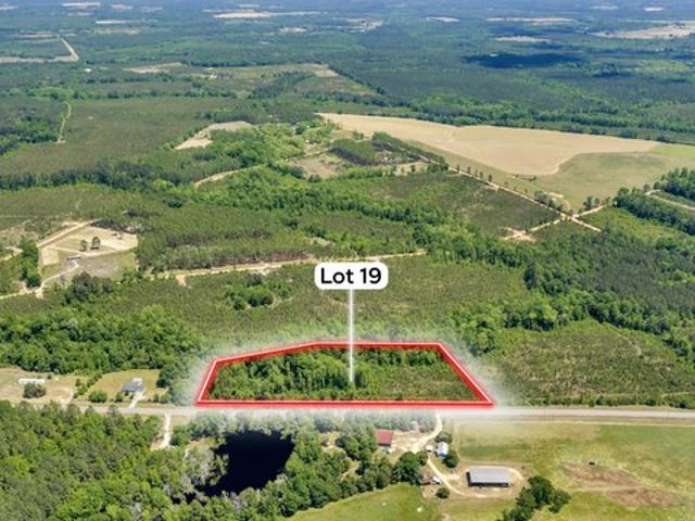 Land for sale in Cadwell, Georgia
