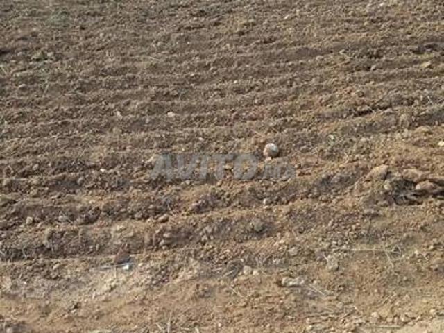 Propriété vente à Settat, Gharb-Chrarda-Beni Hssen