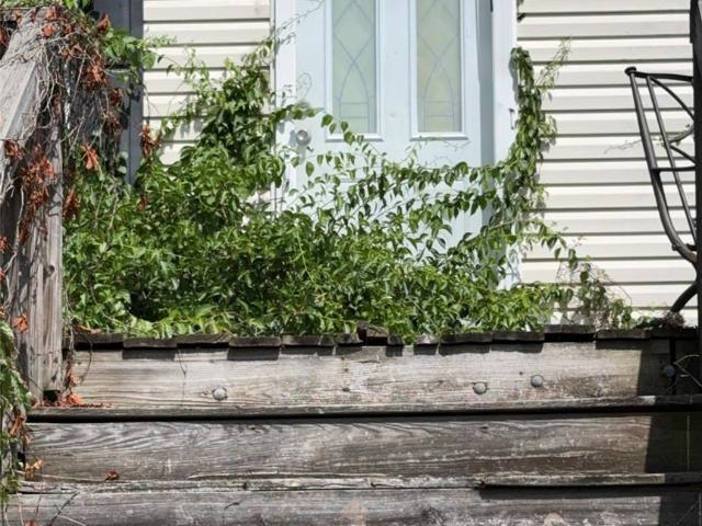 House for sale in Candler, North Carolina