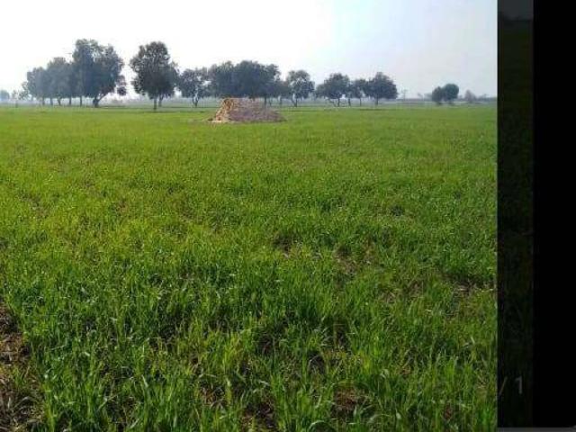 Land for sale in Okara, Islamabad Capital Territory