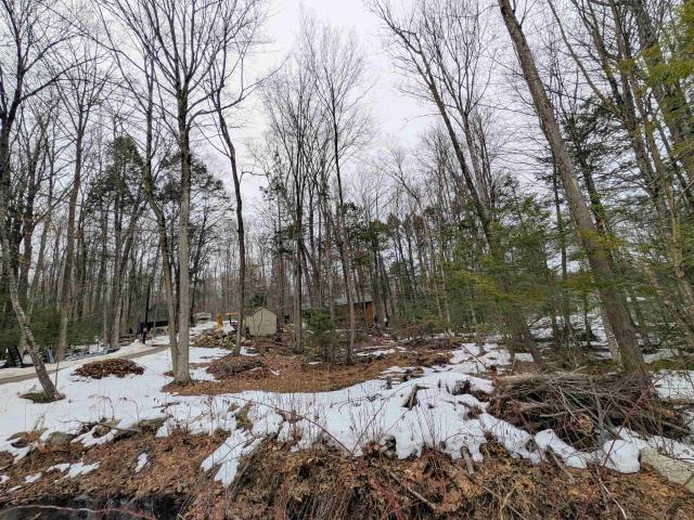 Land for sale in New Hampshire