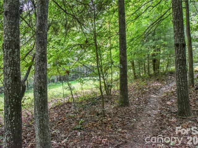 Land for sale in Fairview, North Carolina