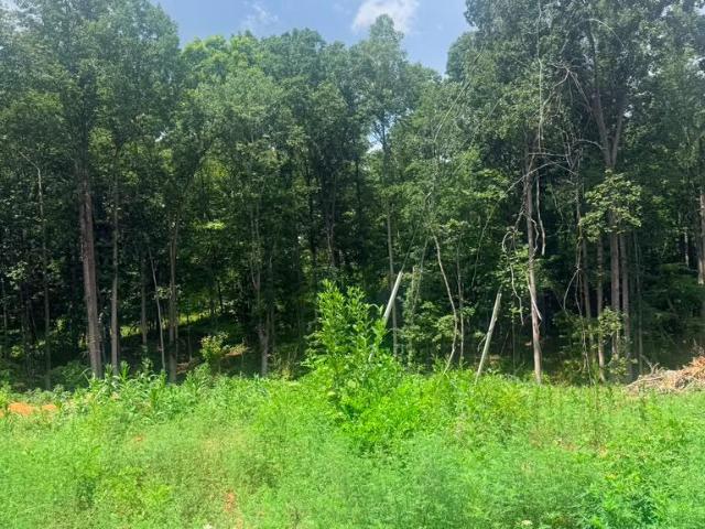 Land for sale in Virginia