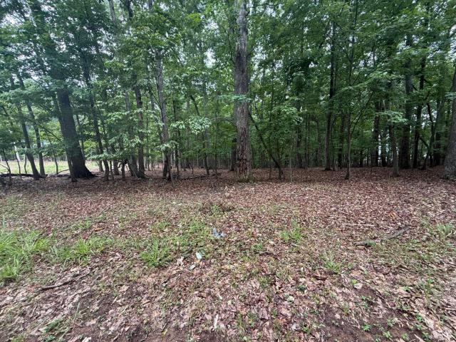 Land for sale in Virginia