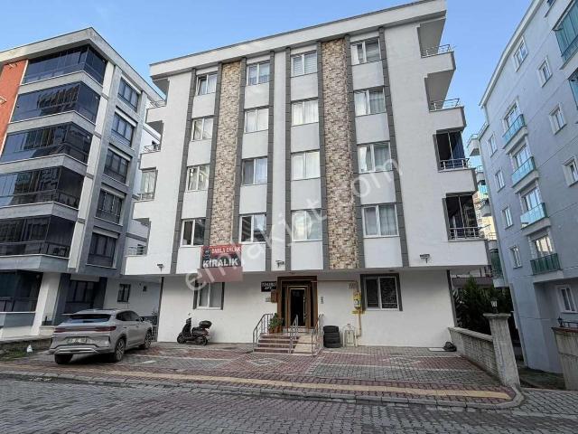 Atakum, Samsun içerisinde kiralık mülk