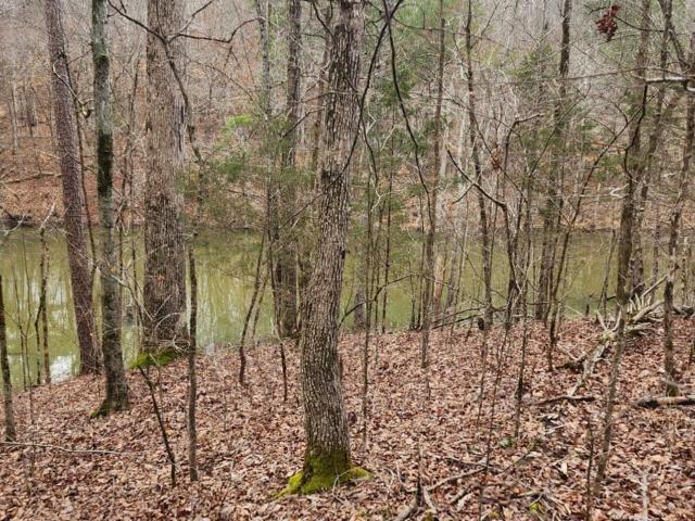 Land for sale in Murray, Georgia