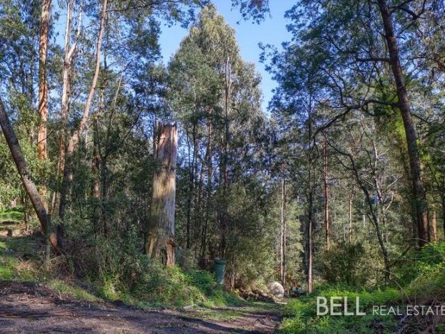 Land for sale in Camerons Creek, Victoria