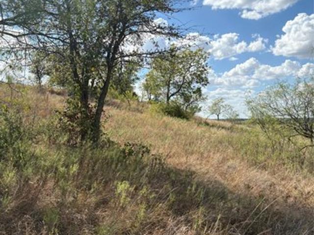 Land for sale in Gustine, Comanche County