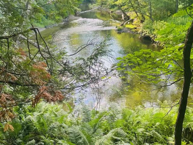 Land for sale in Essex, New York