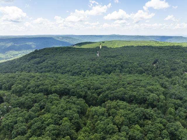 Land for sale in Tennessee