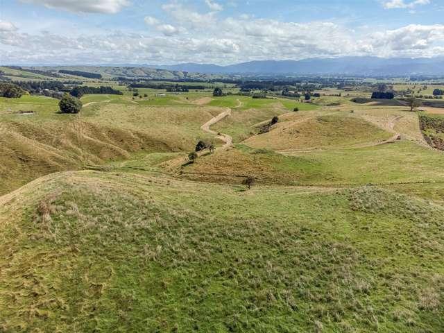 Property for sale in Carterton, Wellington