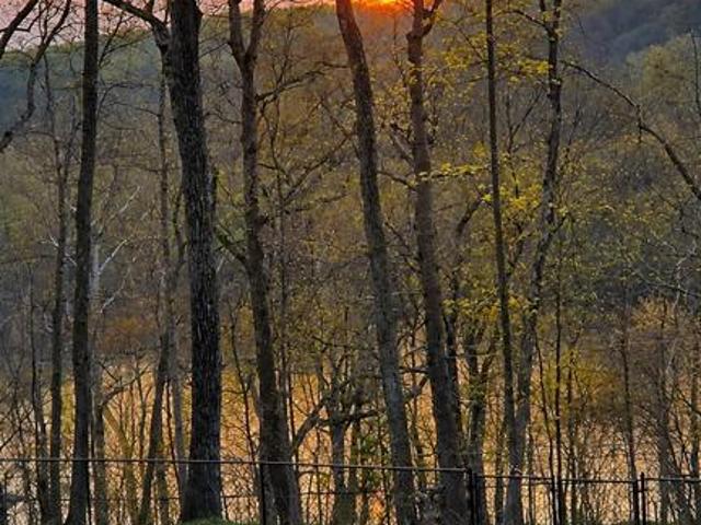 House for sale in West Virginia
