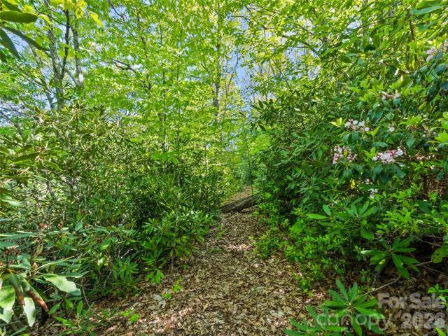Land for sale in Haywood, North Carolina