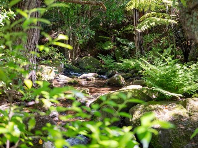 House for sale in Karetu, Northland