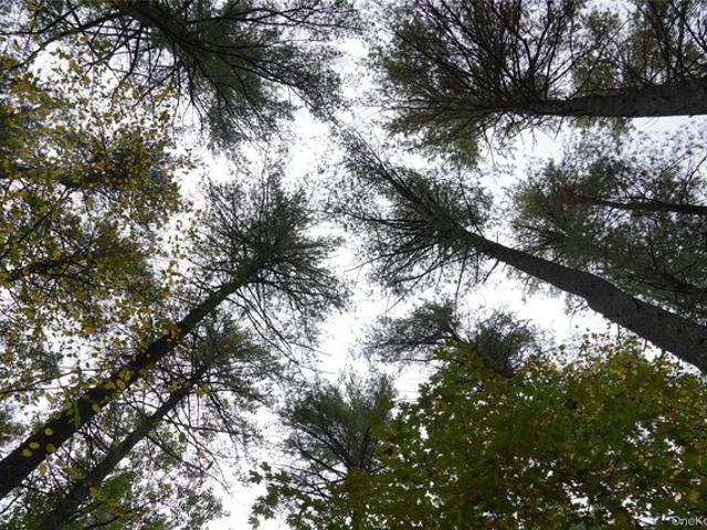 Land for sale in Town of Hyde Park, Dutchess County