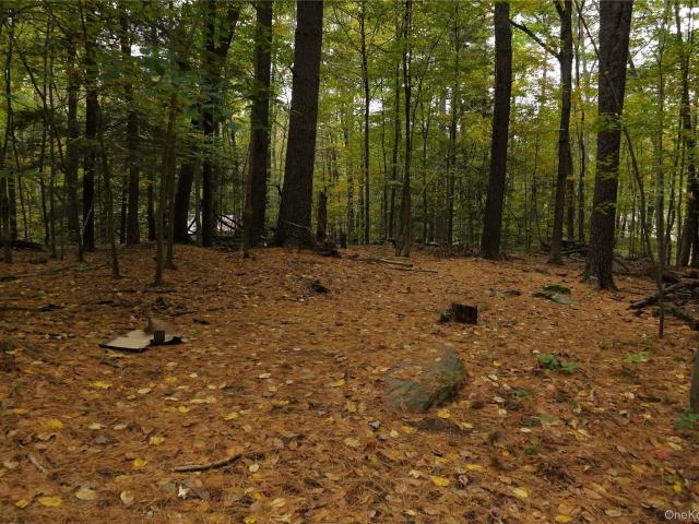 Land for sale in Town of Hyde Park, Dutchess County
