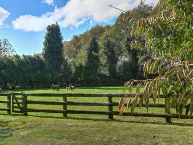 Property for sale in Wanganui District