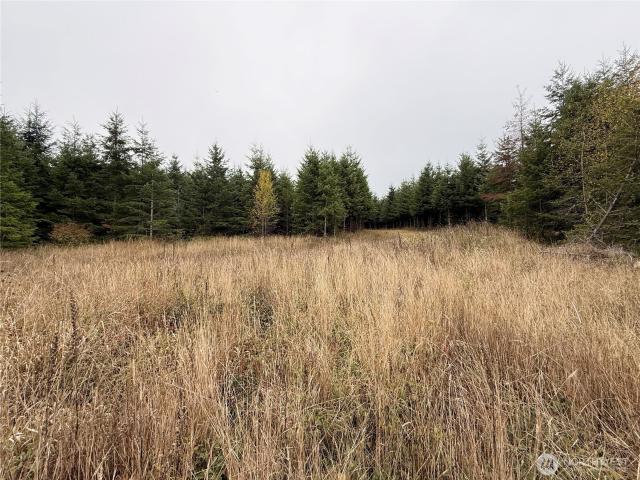 Land for sale in Chehalis, Lewis County