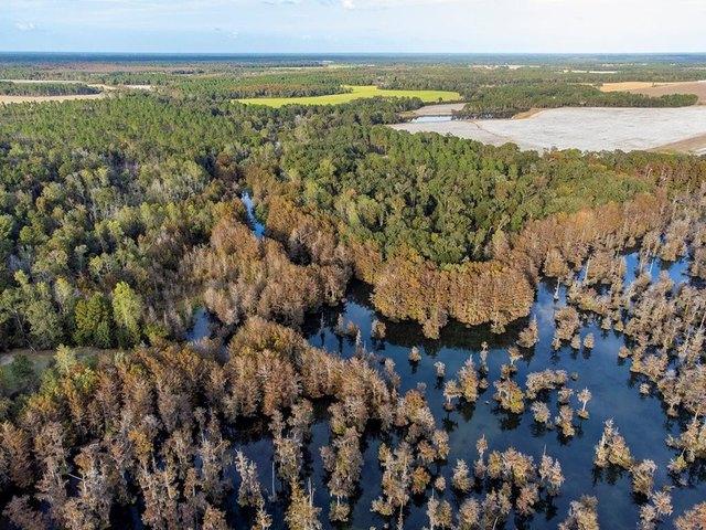 Land for sale in Worth, Georgia