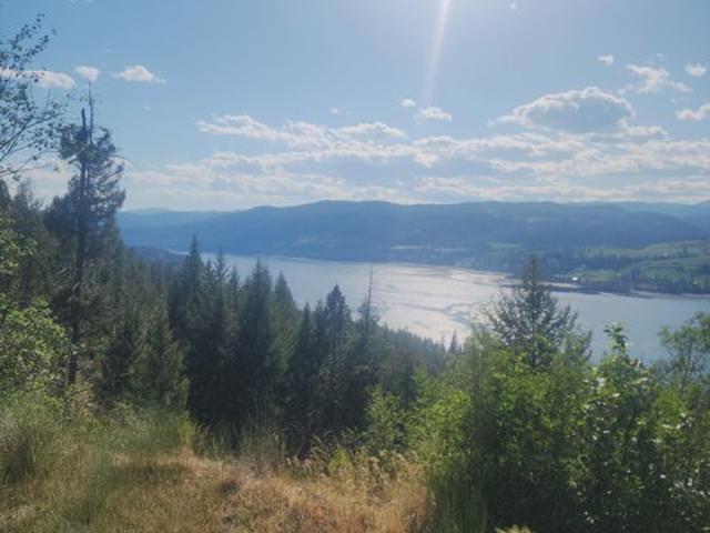 Land for sale in Kettle Falls, Stevens County