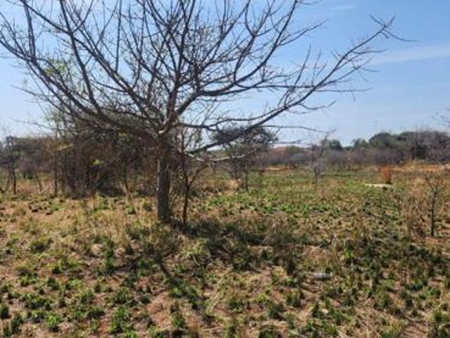 Property for sale in Seshego, Limpopo