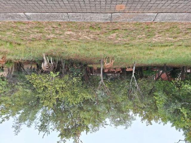 Property for sale in Limpopo