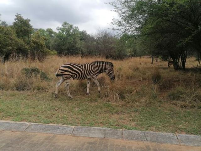 Property for sale in 57 Waterberg, Lephalale Local Municipality