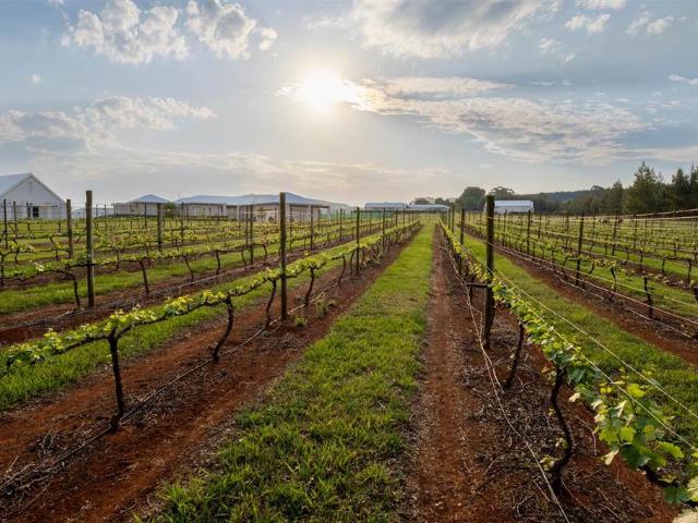 Property for sale in Umgungundlovu, Kwazulu-natal