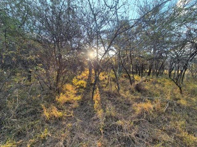Property for sale in Naboomspruit, Limpopo