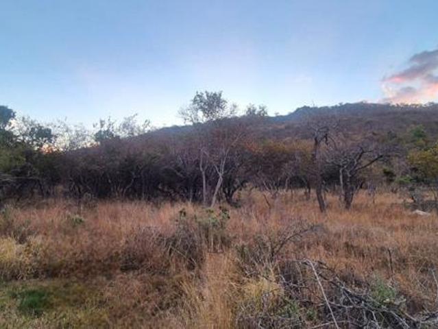 Property for sale in Naboomspruit, Limpopo